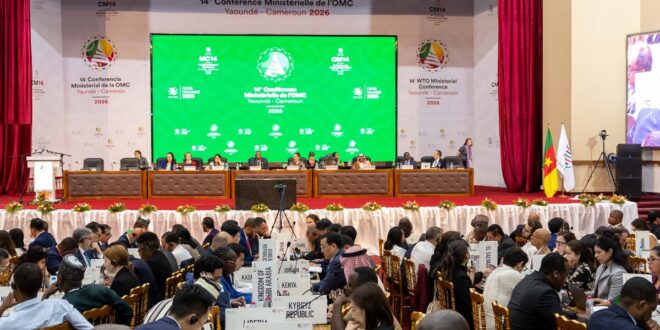 CM14 : ADOPTION DE L&rsquo;ACCORD DE L&rsquo;OMC SUR LE COMMERCE ÉLECTRONIQUE ET DISPOSITIONS TRANSITOIRES