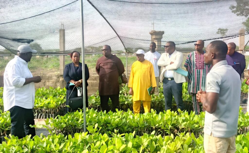 Campagne agricole 2026-2027 : Le Bénin vise une forte hausse des ...
