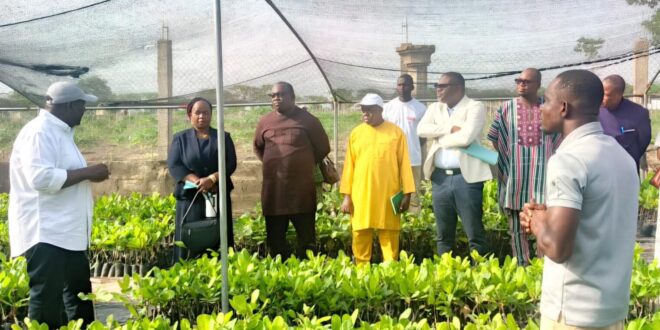 Campagne agricole 2026-2027 : Le Bénin vise une forte hausse des productions
