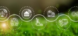 Maurice et ses partenaires promeuvent des chaînes de valeur vertes et circulaires dans le cadre de la ZLECAf pour une croissance régionale
