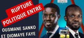 Sénégal : Le limogeage d&rsquo;Ousmane Sonko accélère la recomposition du paysage politique