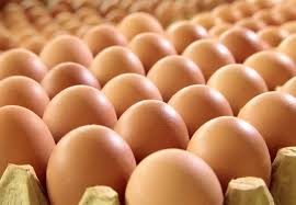 Vague de chaleur en France : les poules pondent moins d&rsquo;œufs et des œufs plus petits