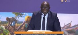 Cap sur l’assurance inclusive avec Mamadou Koné, président de la FANAF