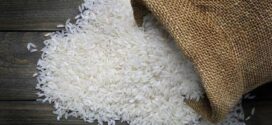 Le Sénégal suspend de nouveau les importations de riz pour écouler la production locale