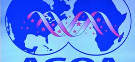  Commerce extérieur / États-Unis : Feu vert du Sénat à une prolongation jusqu&rsquo;à fin 2028 de l&rsquo;Agoa, l&rsquo;accord sur les exportations africaines