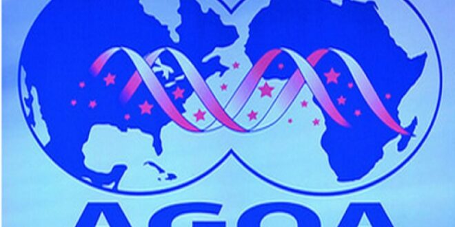  Commerce extérieur / États-Unis : Feu vert du Sénat à une prolongation jusqu&rsquo;à fin 2028 de l&rsquo;Agoa, l&rsquo;accord sur les exportations africaines
