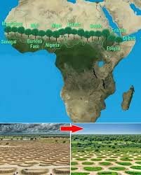 L’AUDA-NEPAD lance le Fonds PPP pour la transition verte en Afrique, une nouvelle plateforme d’investissement pour financer l’avenir industriel vert du continent.