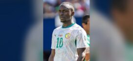 INVESTISSEMENT / Sadio Mané : 11,7 milliards FCFA dans la mangue Kent