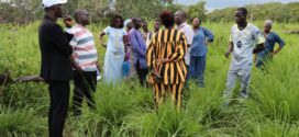 MISSION CONJOINTE DE SUIVI DES PROJETS ET PROGRAMMES DE LA CEDEAO AU BÉNIN